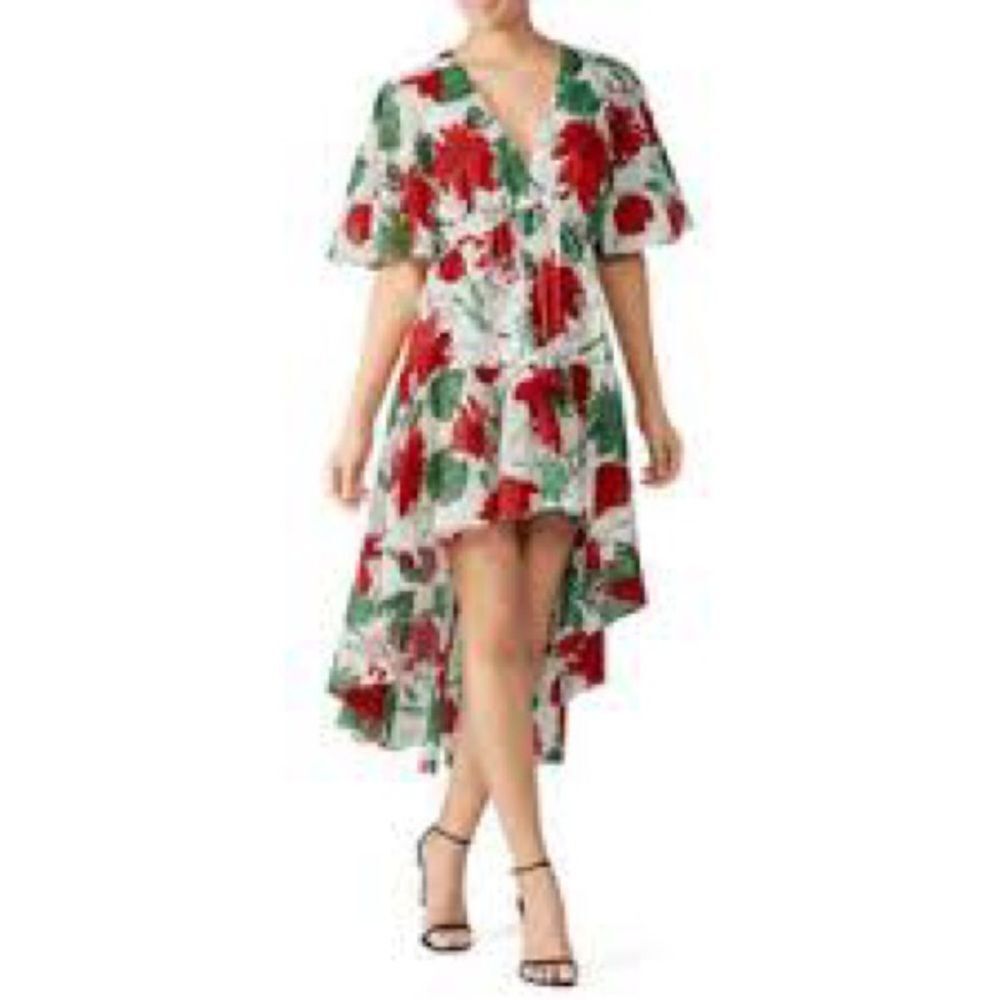 🌹 ALEXIS X REVOLVE Idella garden ivory short sleeve high low Dress size small